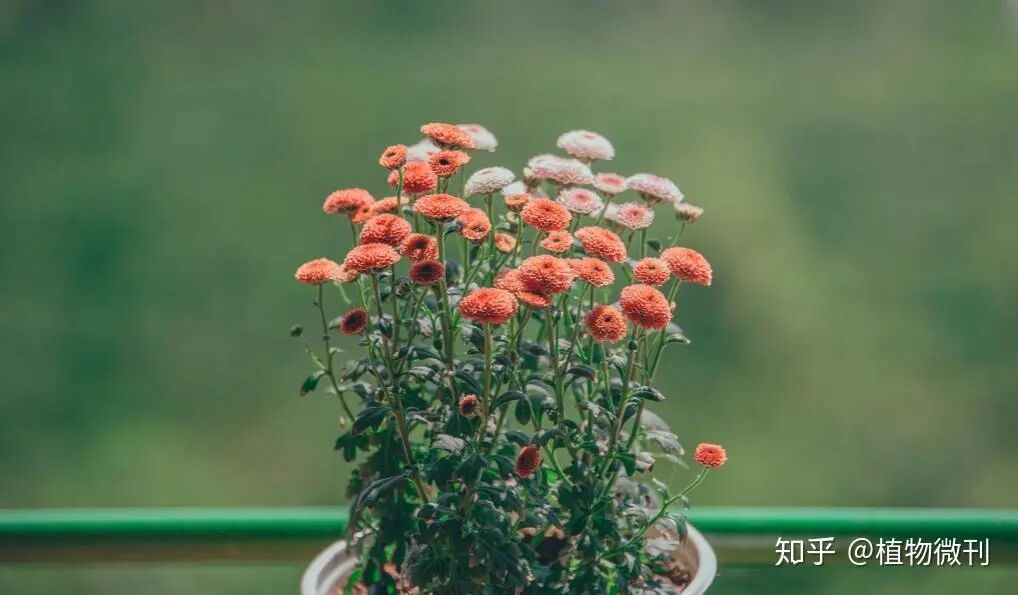 测试测试测试测试测试测试