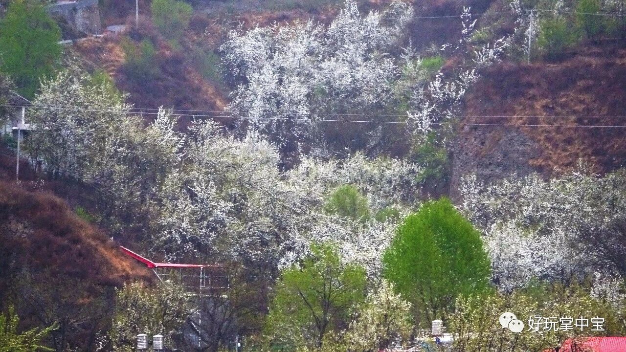 天路春回，川藏花开（一）